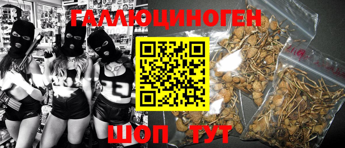 Псилоцибиновые грибы мухоморы Югорск